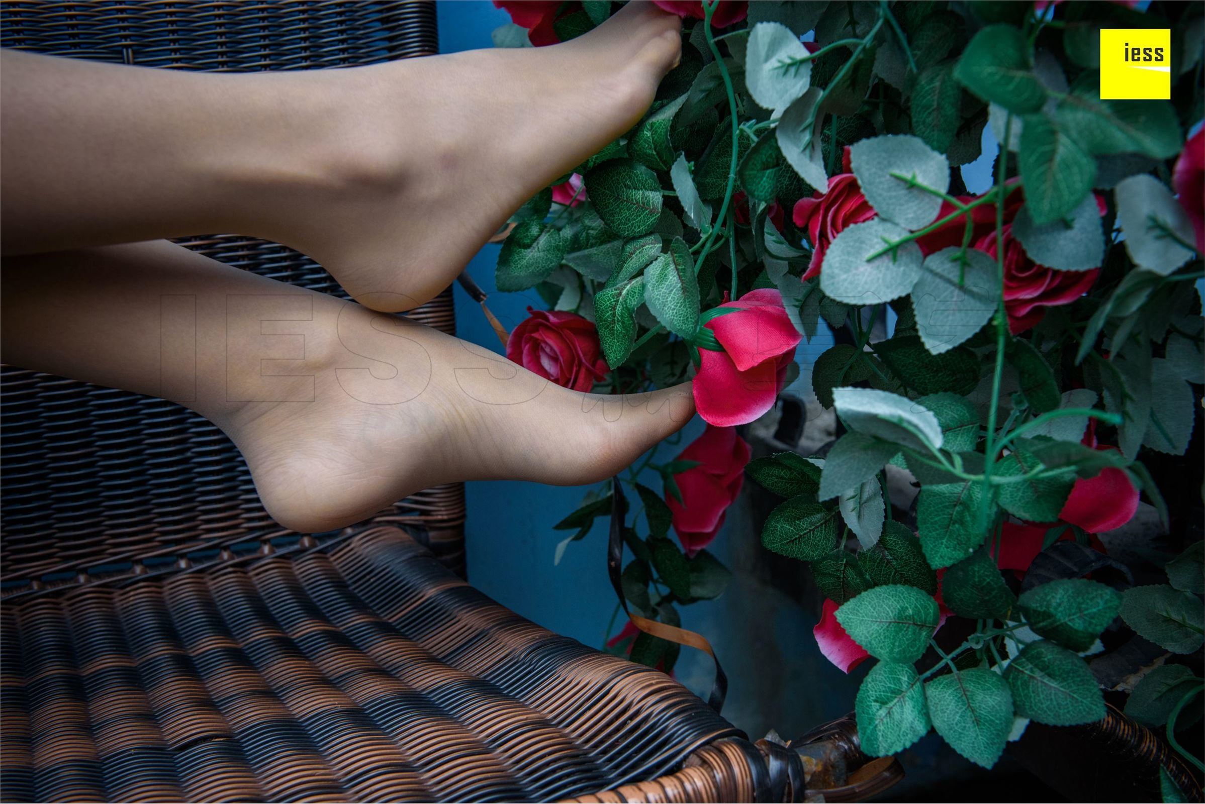 [IESS异思趣向]2018-02-01 No.161婉萍《玫瑰与肉丝》